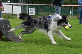 FLY BALL 006